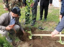 نظارت بر اجرای طرح کاشت یک میلیارد درخت به مردم واگذارشده است