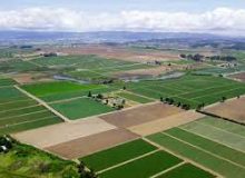 اجرای ۱۰ هزار طرح کشاورزی در حوزه آب و خاک کشور