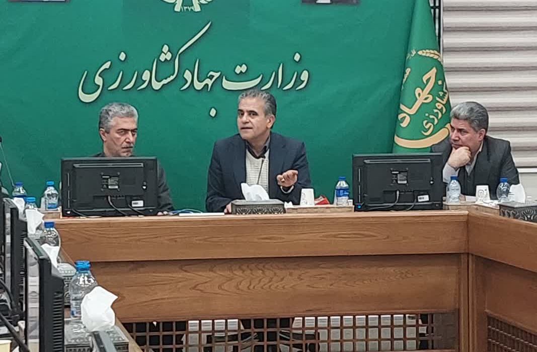 تأکید بر توسعه صادرات پسته باکیفیت ایران