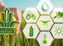نقش پررنگ بانک کشاورزی در تأمین امنیت غذایی کشور