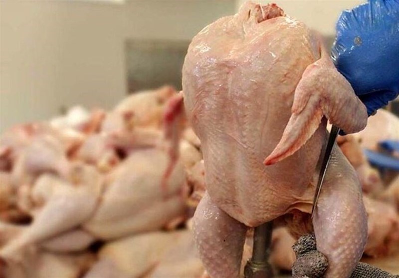 کاهش 8 درصدی عرضه مرغ در آذرماه
