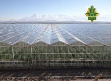 حمایت بانک کشاورزی از دومین گلخانه شیشه‌ای مدرن کشور