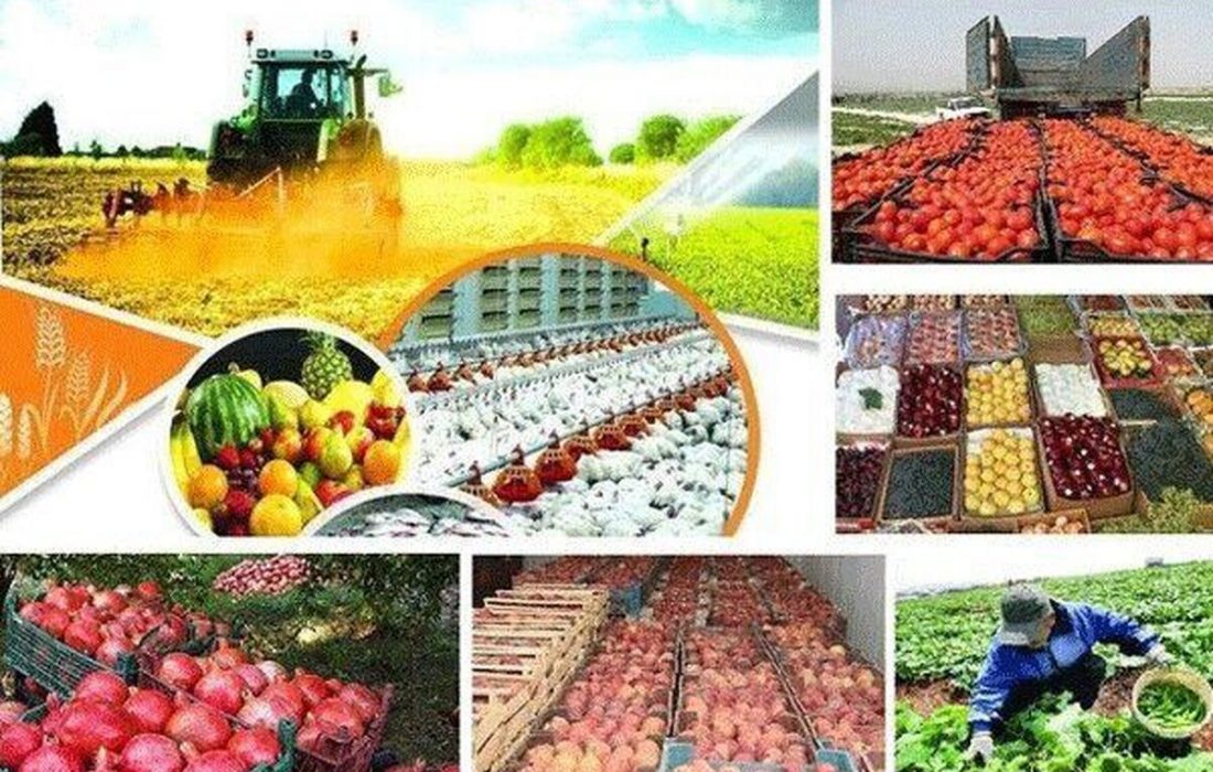 بهبود شرایط بخش کشاورزی در گرو توانمندسازی شبکه عظیم تعاون روستایی کشور