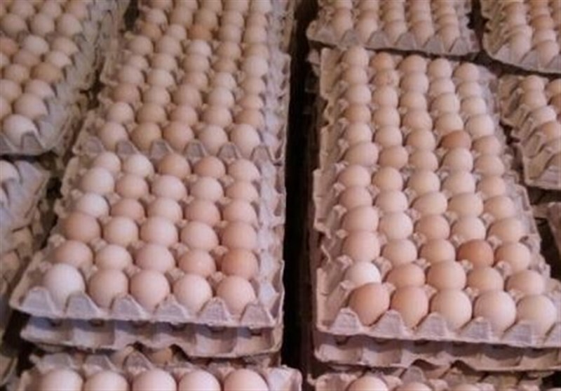 کاهش ۱۵ تا ۲۰ درصدی تولید تخم‌مرغ