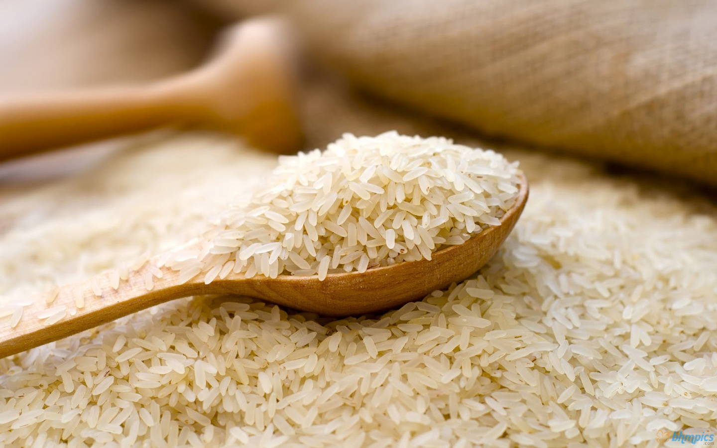 واردات برنج ۵۰ درصد کاهش یافت