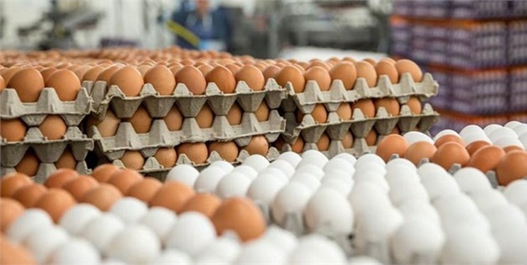 هشدار تولیدکنندگان به افزایش قیمت تخم‌مرغ