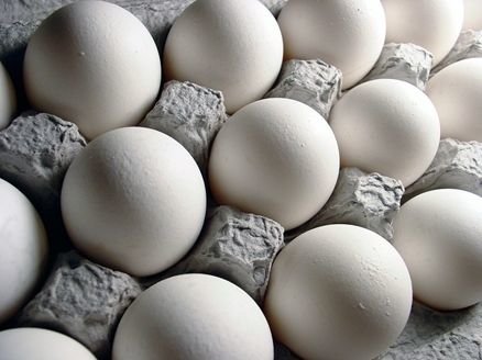 صادرات تخم‌مرغ ممنوع نیست