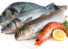 پیش‌بینی ظرفیت پرورش ۳۵۰ هزار تن میگو و ماهی در آب‌های ساحلی شمال و جنوب کشور