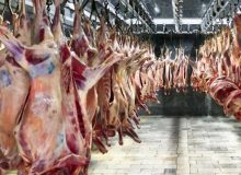 ثابت شدن قیمت گوشت در بازار