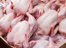 رفع ممنوعیت صادرات مرغ به عراق 