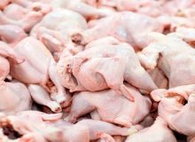 توزیع گسترده و ادامه‌دار مرغ منجمد ارزان در بازار