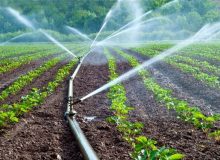 اجرای ۲.۹ میلیون هکتار سیستم آبیاری تحت فشار در اراضی کشاورزی