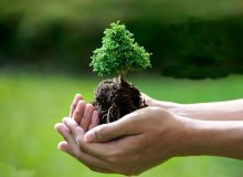 کاشت درخت و حفاظت از جنگل‌ها و منابع طبیعی در دستور کار است
