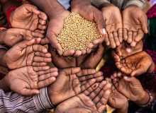 واکنش فوری به بحران جهانی گرسنگی