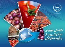 کاهش عوارض صادراتی پیاز و گوجه‌فرنگی زراعی