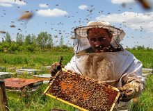 ضرورت توسعه شرکت‌های دانش‌بنیان و خلق ثروت با محوریت دانشگاه‌ها در صنعت زنبورداری