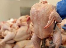 کاهش 8 درصدی عرضه مرغ در آذرماه