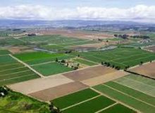 تحکیم منافع ملی با حفاظت از اراضی کشاورزی