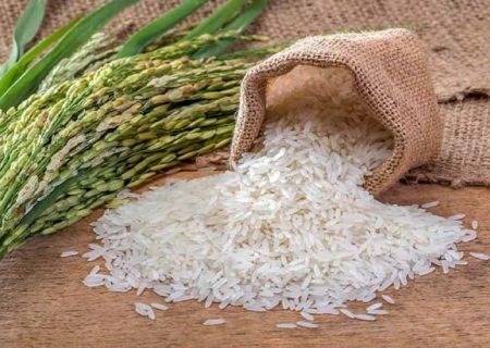 دستیابی به خودکفایی برنج با توسعه کشت ارقام پرمحصول